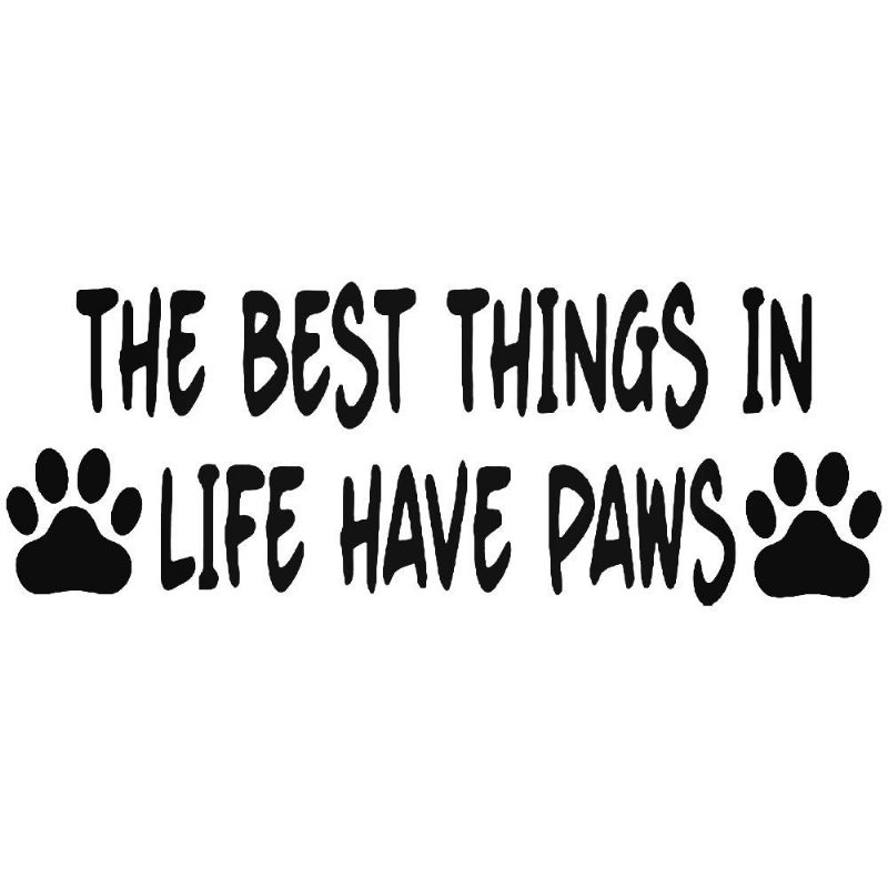 Car Sticker Best Things in Life Have Paws Funny Vinyl Decals  55mm x 150mm